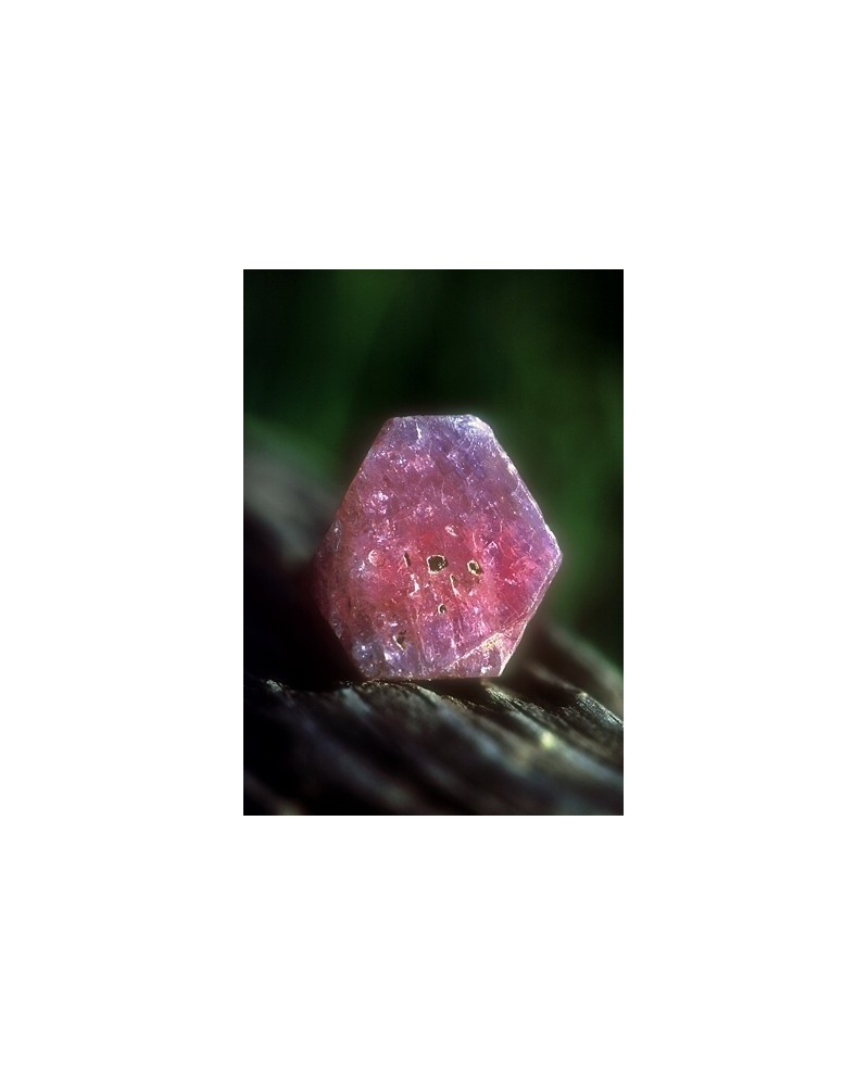 Sapphire/Ruby