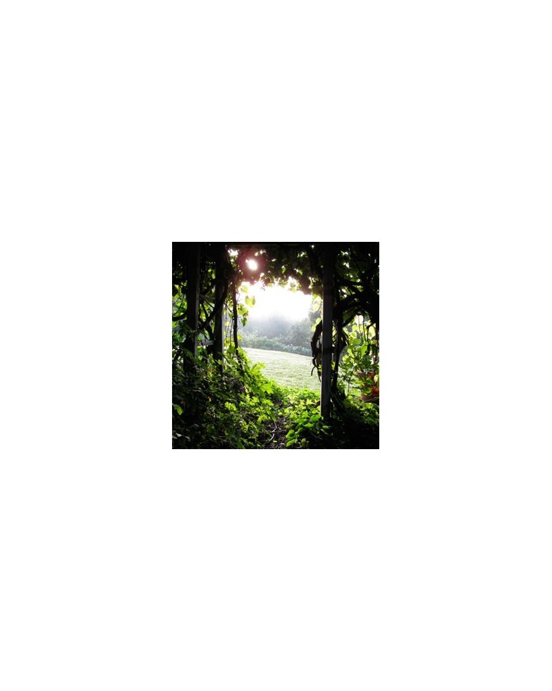 The Arbor Garden