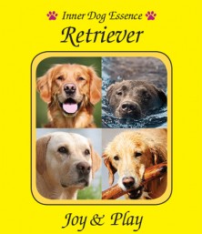 Retriever
