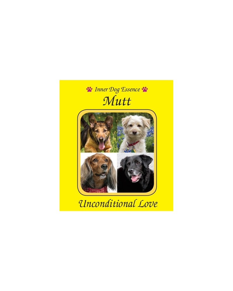 Mutt (Corniaud)