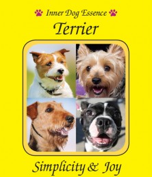 Terrier
