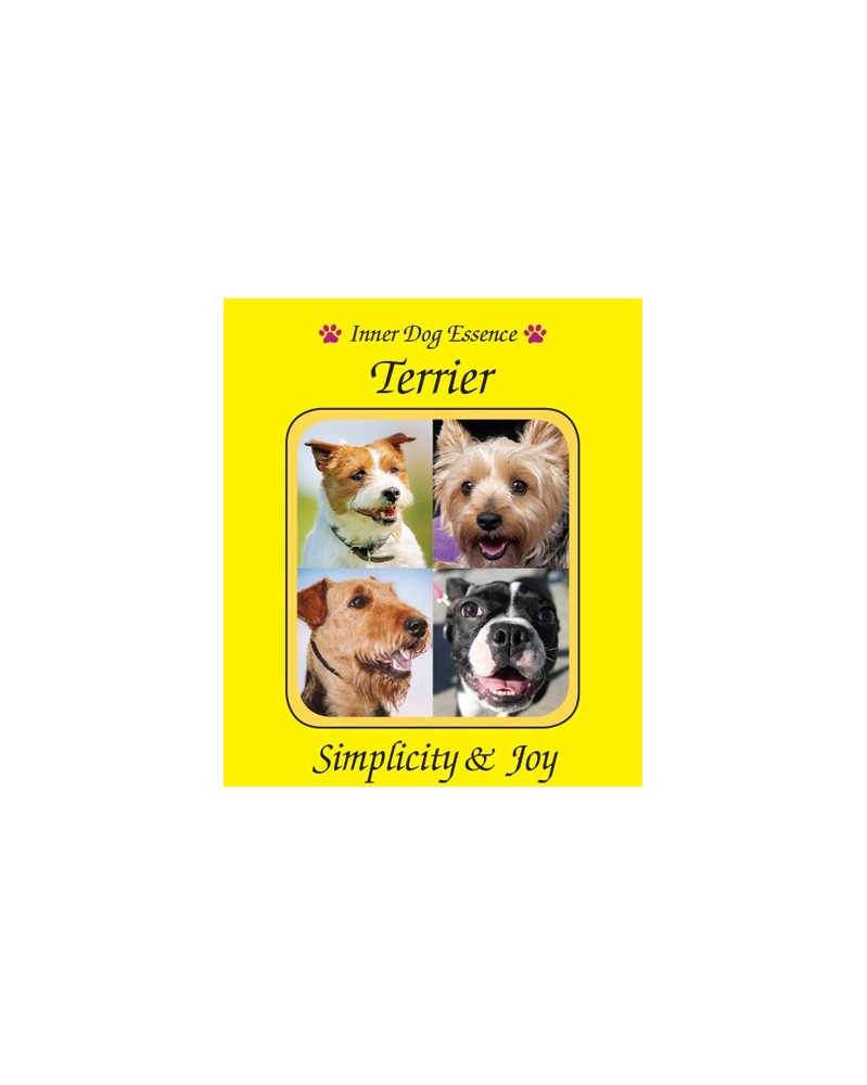 Terrier