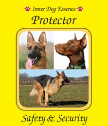 Protector (Protecteur)
