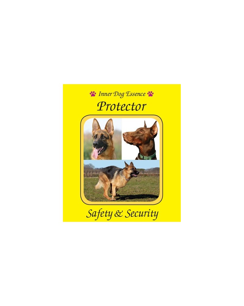 Protector (Protecteur)