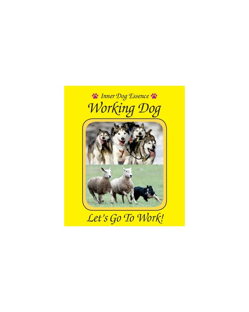 Working Dog (Chien de travail)