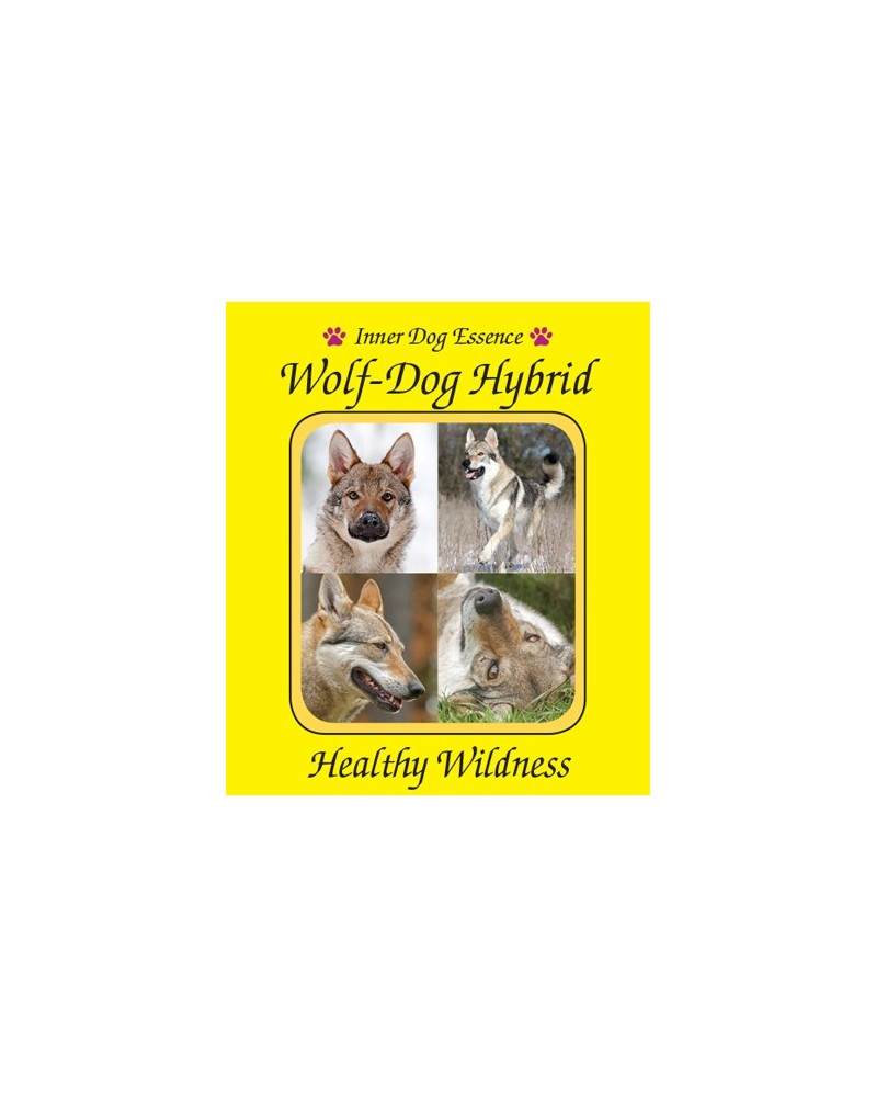 Wolf-Dog Hybrid (Hybride loup-chien)