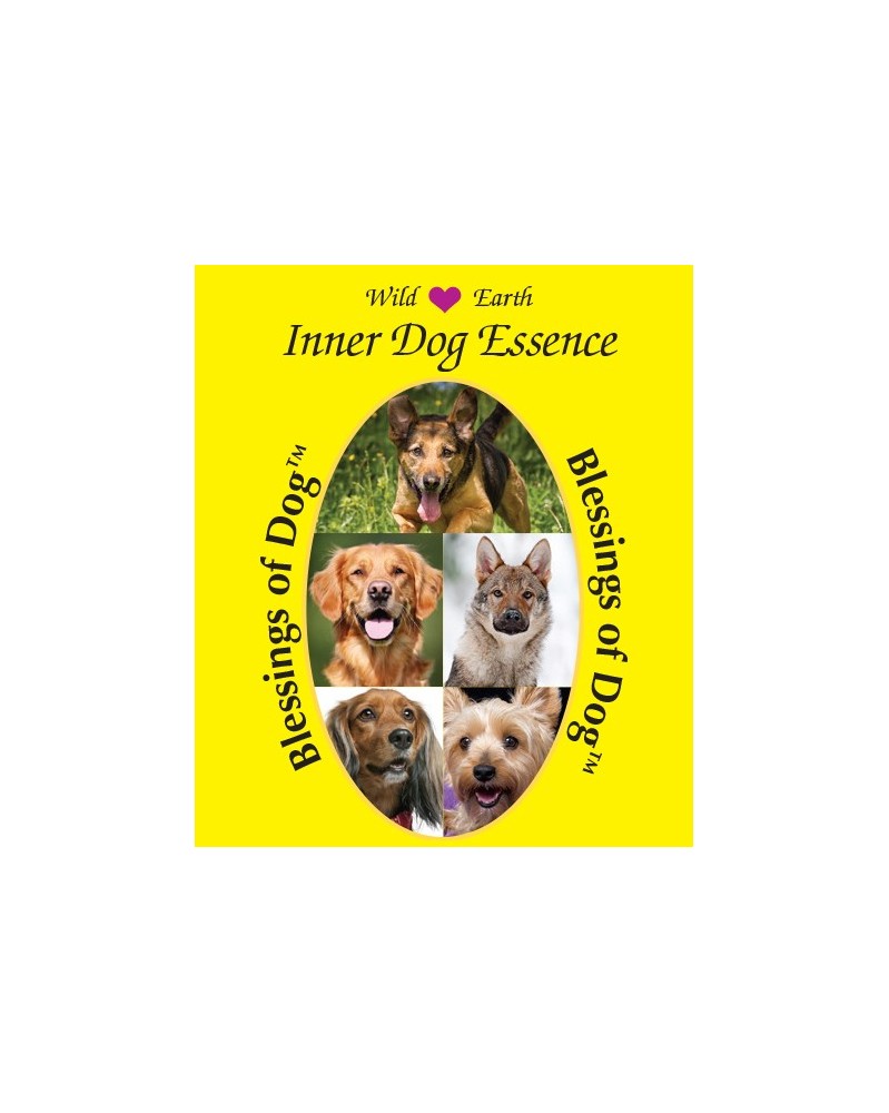 Blessings of Dog (Bénédiction de chien)