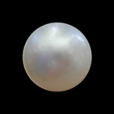 Pearl (Perle)
