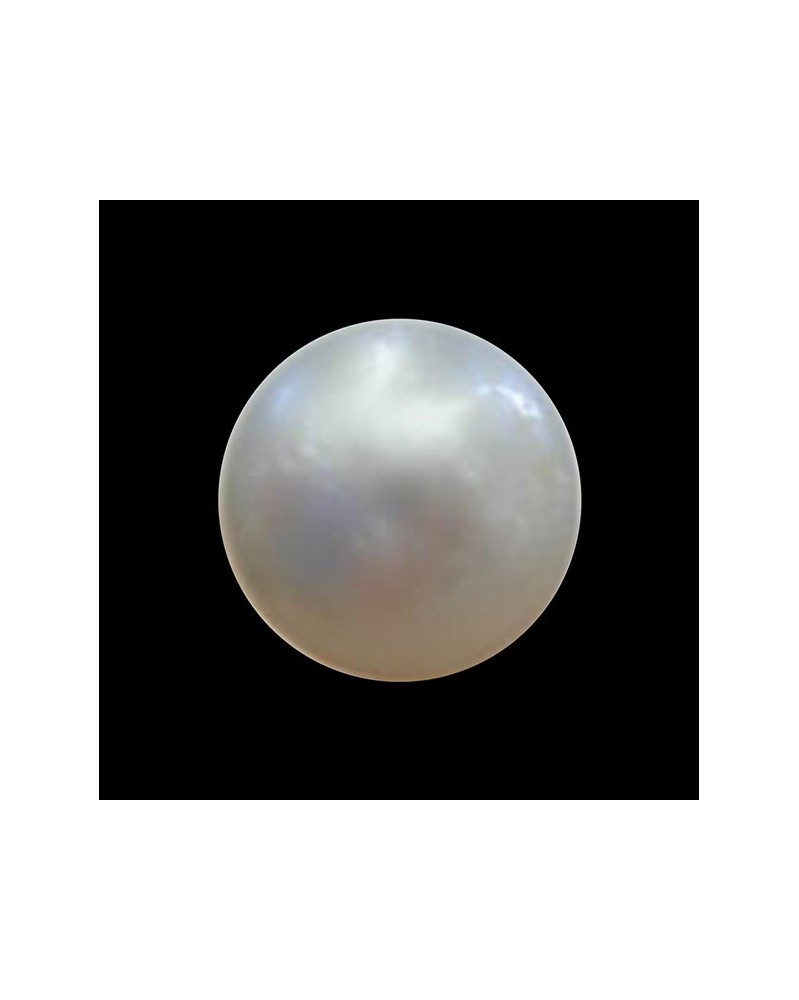 Pearl (Perle)