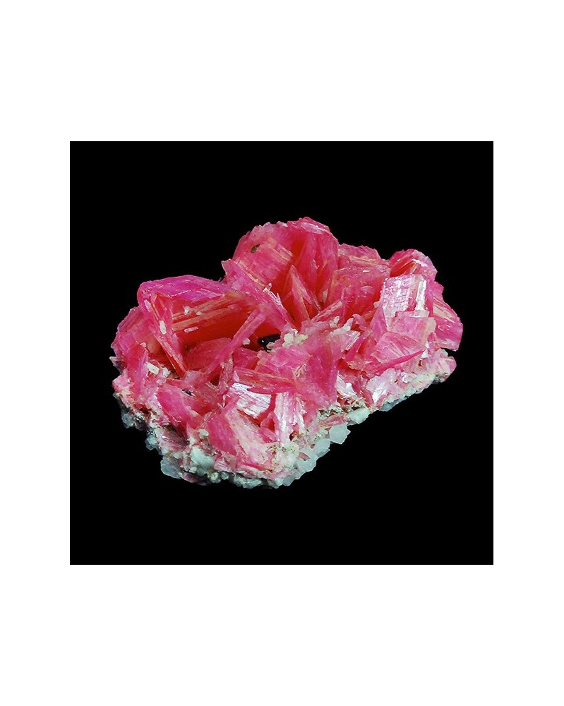 Rhodonite (Rhodonite)