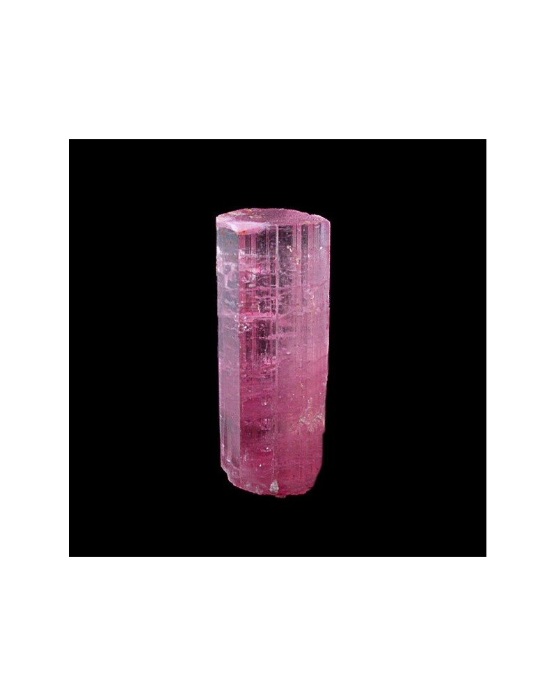 Rubellite (Rubellite)
