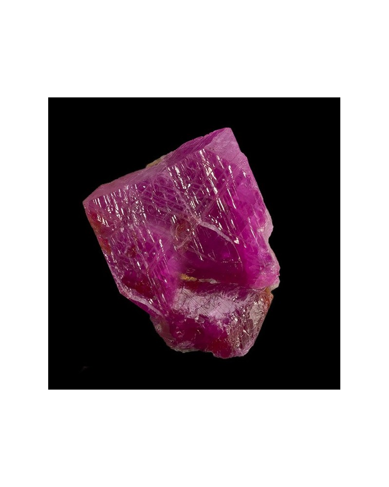 Ruby (Rubis)