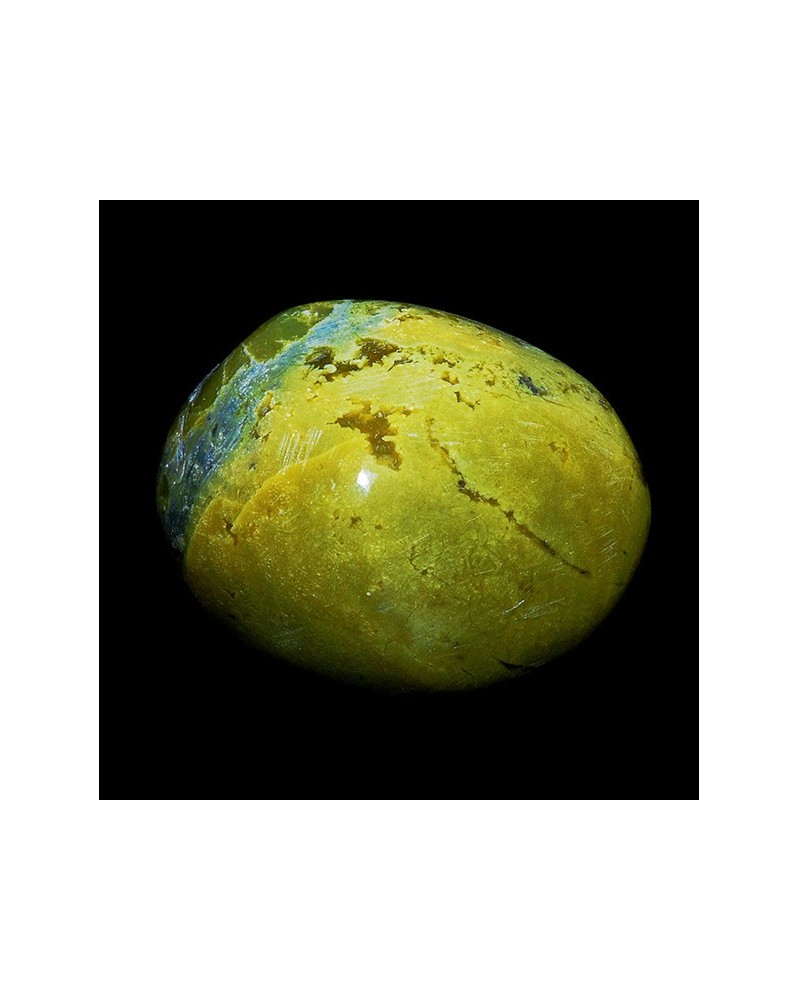 Serpentine (Serpentine)