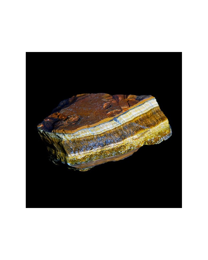 Tiger’s Eye