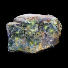 Wavellite (Wavellite)