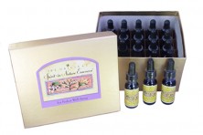 Set of 20 Spirit-in-Nature...