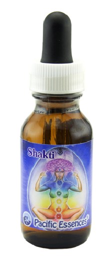 Shakti - Goddess Essence