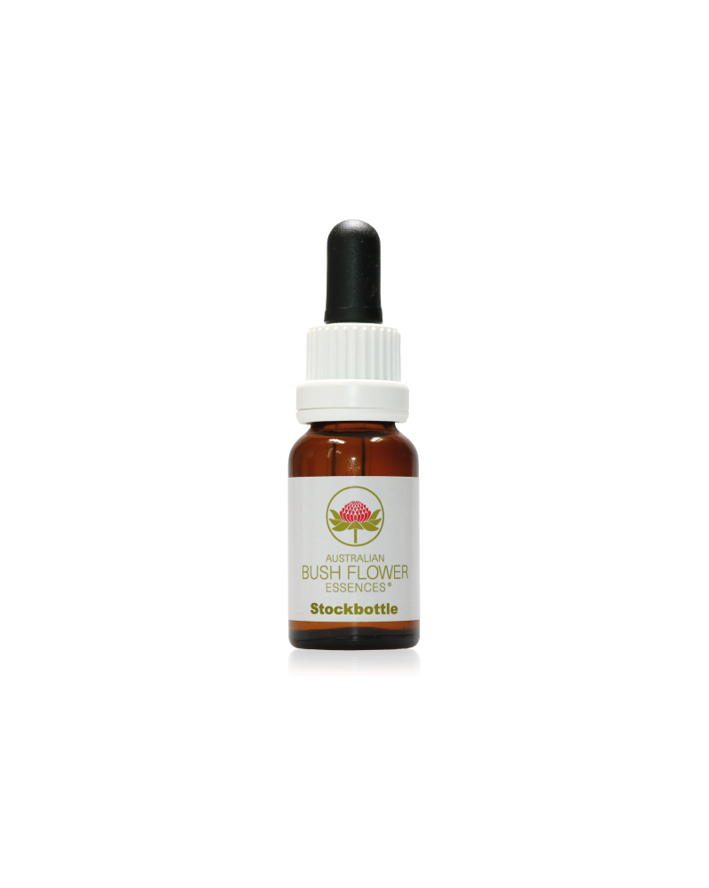 Hibbertia
