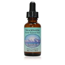 Black Spruce