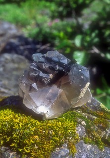 Black tourmaline/Master...