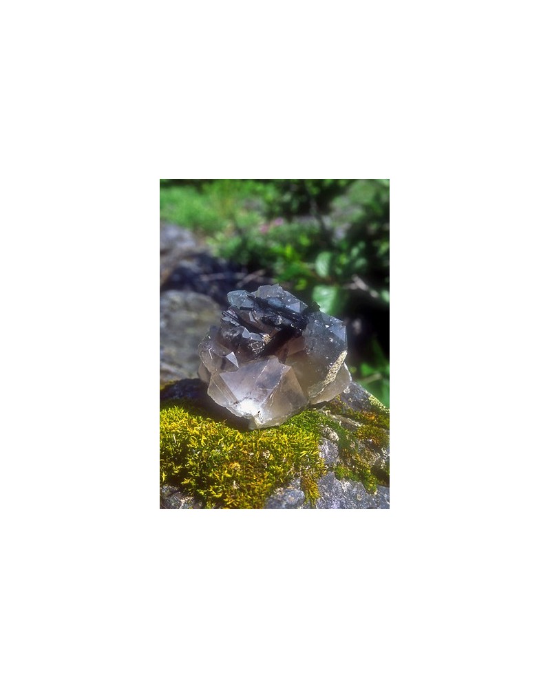 Black tourmaline/Master quartz - Tourmaline noire/quartz maître