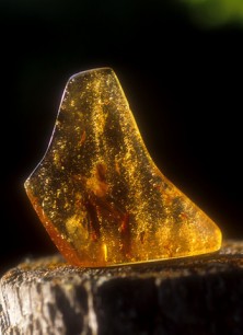 Amber - Ambre
