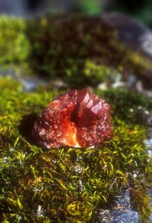Red Quartz - Quartz rouge
