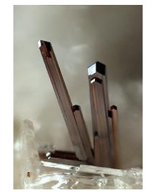 Rutile