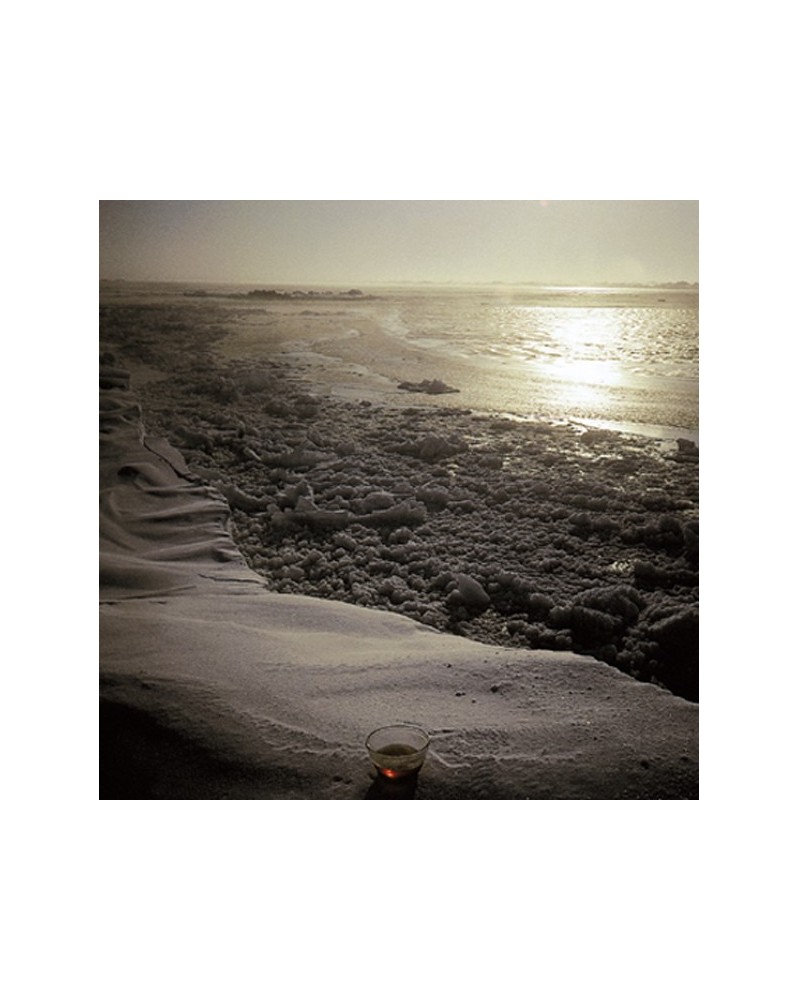 Polar Ice