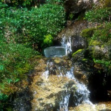 Rock Spring