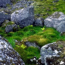 Stone Circle