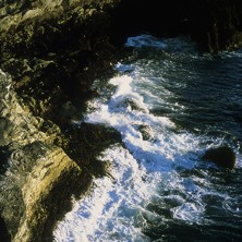 Tidal Forces