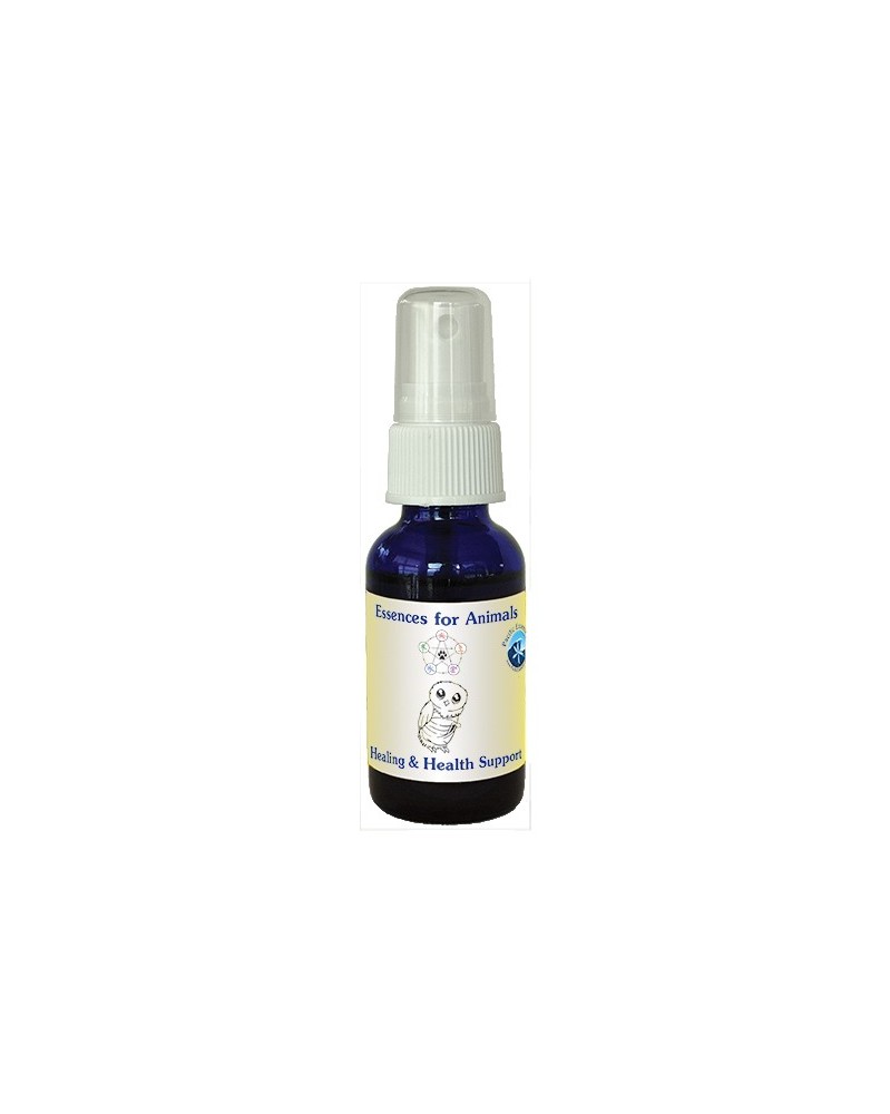 Healing & Health Support - Animal Spray
