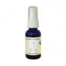 Healing the Past - Animal Spray