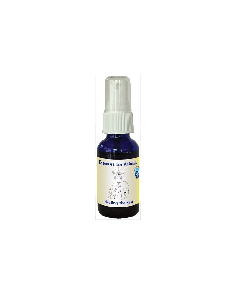 Healing the Past - Animal Spray