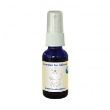 Inner contentment - Animal Spray