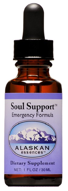 Soul Support