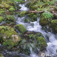 Eau de roche (Rock water)