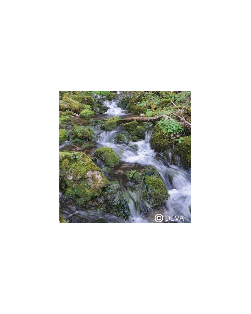 Eau de roche (Rock water)