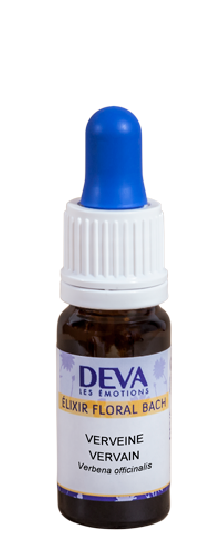 Verveine (Vervain)