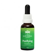 Purifying Essence -...