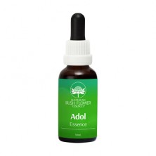 Adol essence