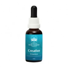 Creative essence - Complexe...