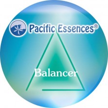 Balancer
