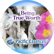 Being True Worth (être le...