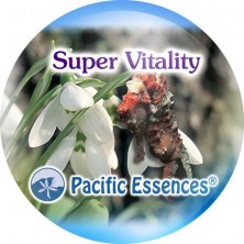 Super Vitality (super...