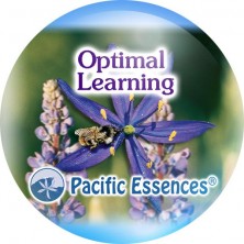 Optimal Learning...
