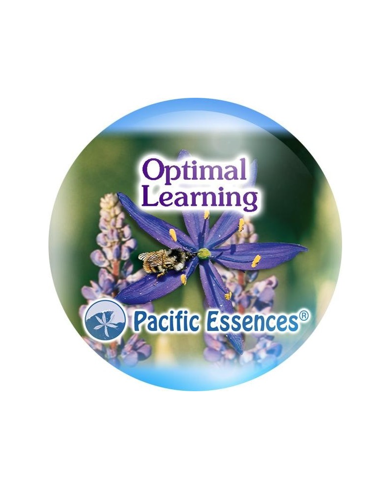 Optimal Learning