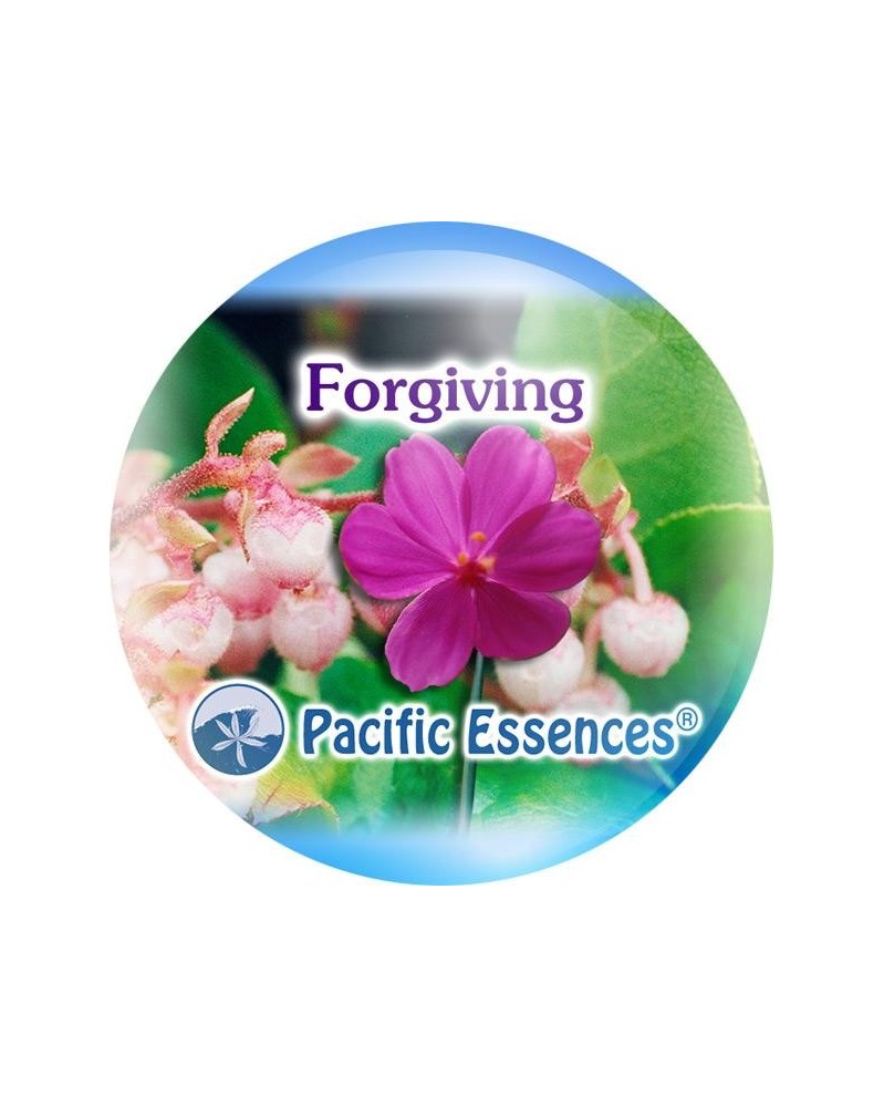 Forgiving (pardonner)