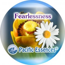 Fearlessness (intrépidité)